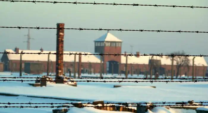 Послание, найденное в детском ботинке из Освенцима История, Вторая мировая война, Концентрационный лагерь, Освенцим, Судьба человека, Длиннопост