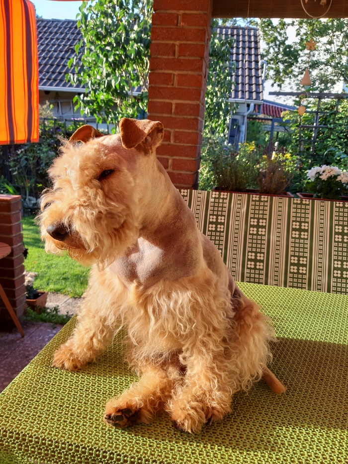 Понедельник