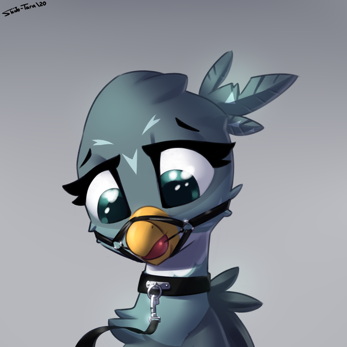    My Little Pony, Gabby, MLP Suggestive