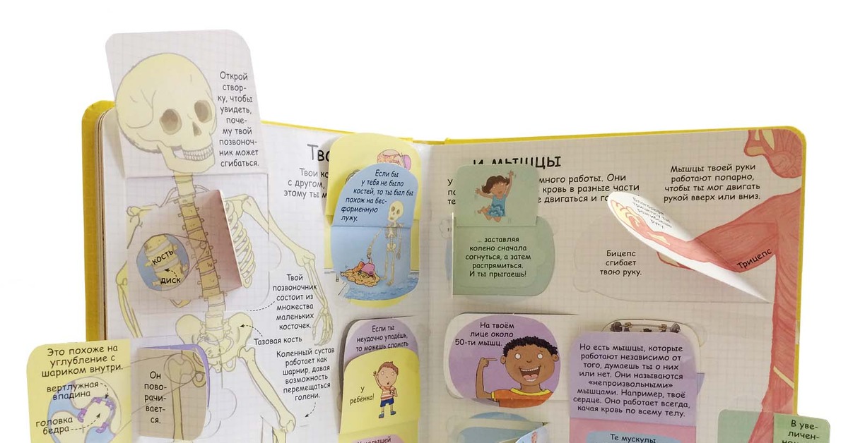 Железы внешней секреции пищеварительной системы. Секрет это в биологии. Робинс. Книжка секреты человека. Робинс.