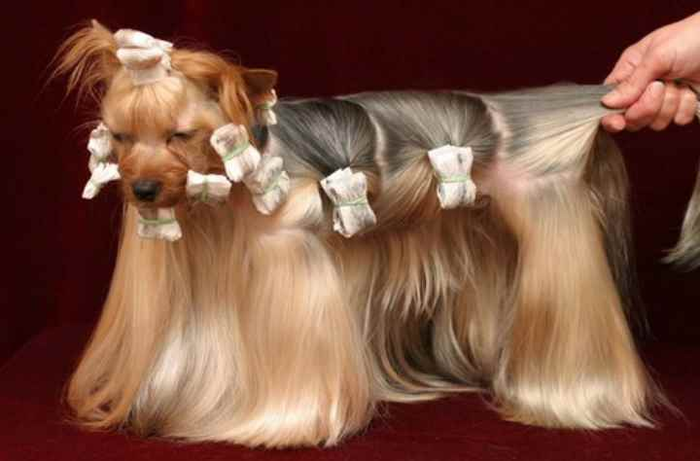 Что это за штука - 105 Перевел сам, Reddit, WhatIsThisThing, Видео, Длиннопост Что это за штука - 105 Перевел сам, Reddit, WhatIsThisThing, Видео, Длиннопост