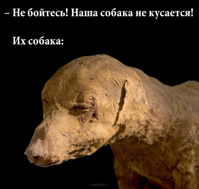 �� �������!