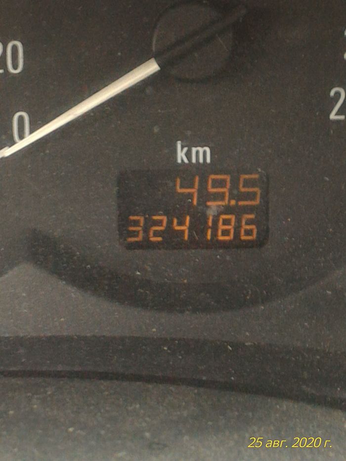 Настоящий пикабушник