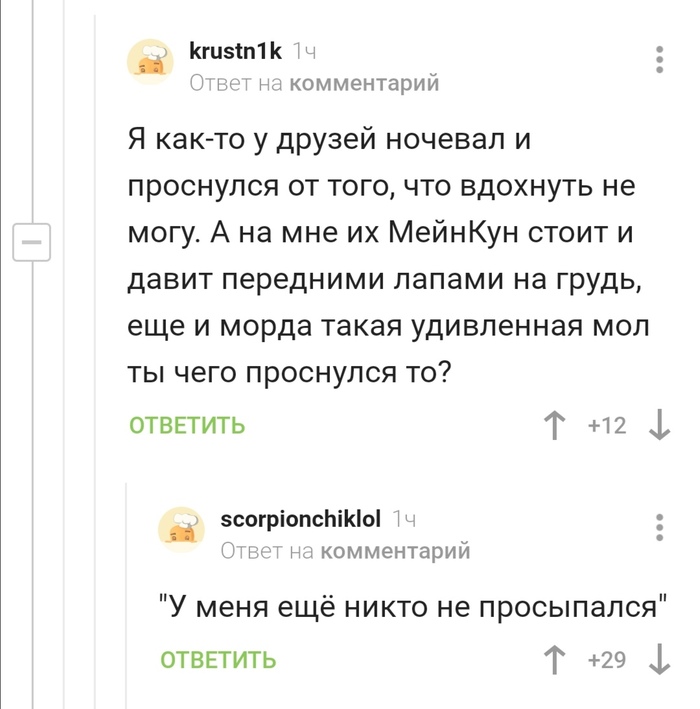 Мейн-кун - убийца