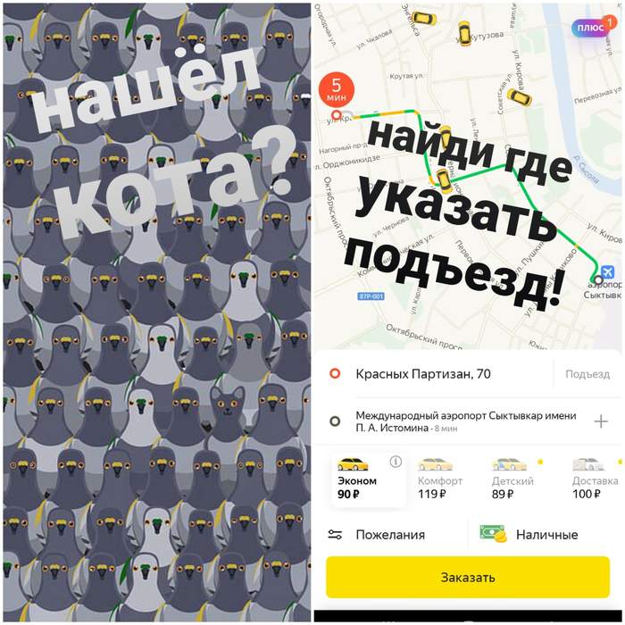 Нашёл кота?