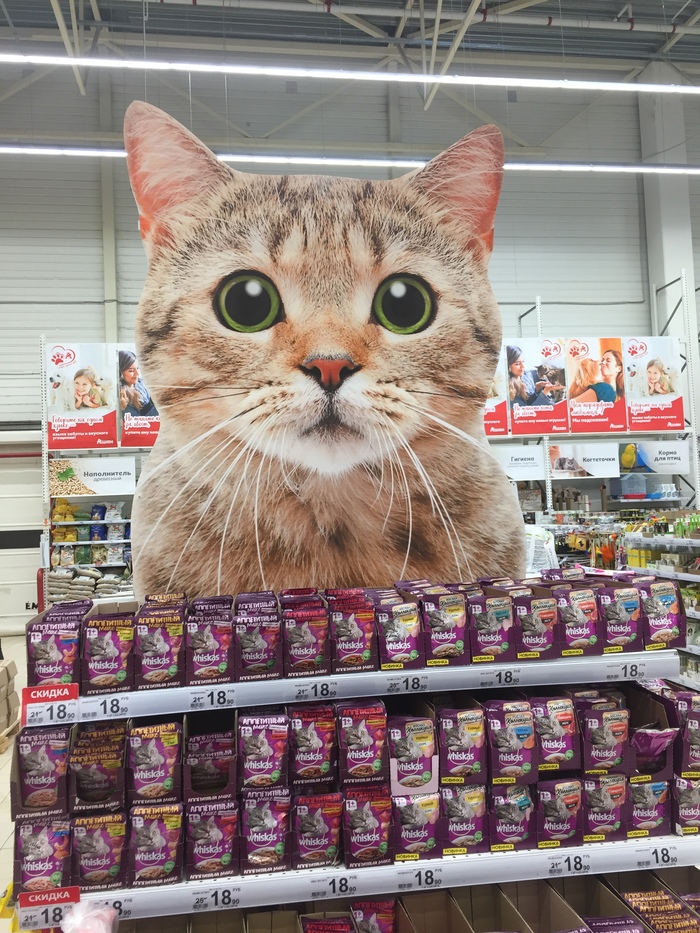 Вот что я хочу на день рождения