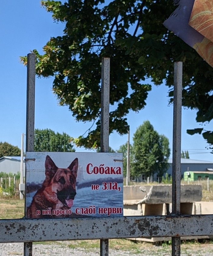 Сочувственно