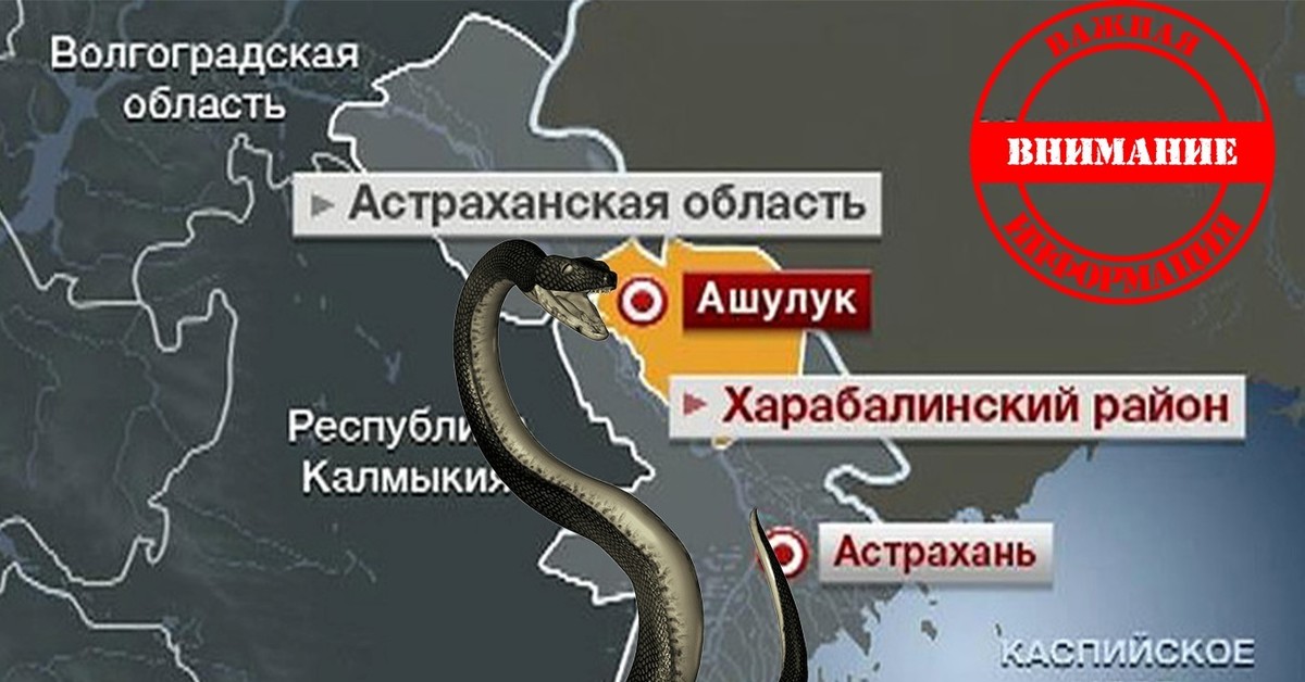 Карта астрахань боевая