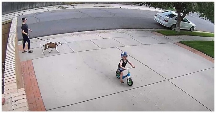 Твори добро: реакция мужчины на то, что возле его гаража катается чужой ребёнок