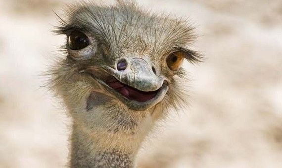 О нашей разной жизни