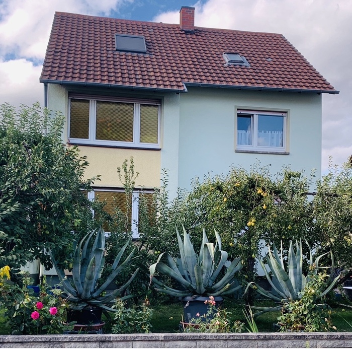 Домик с алоэ вера в саду