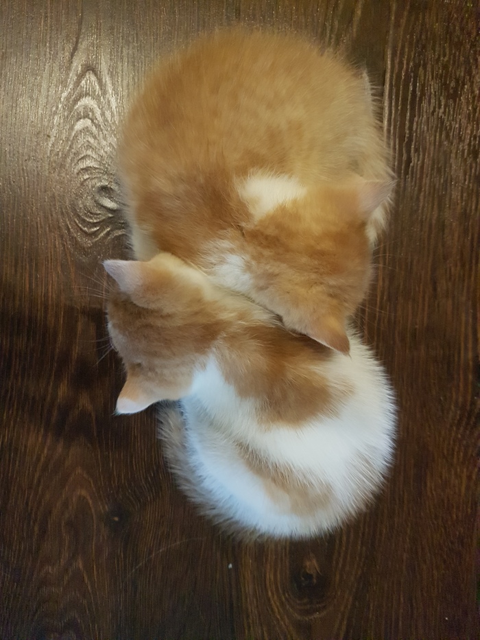    , ,   , , ,  