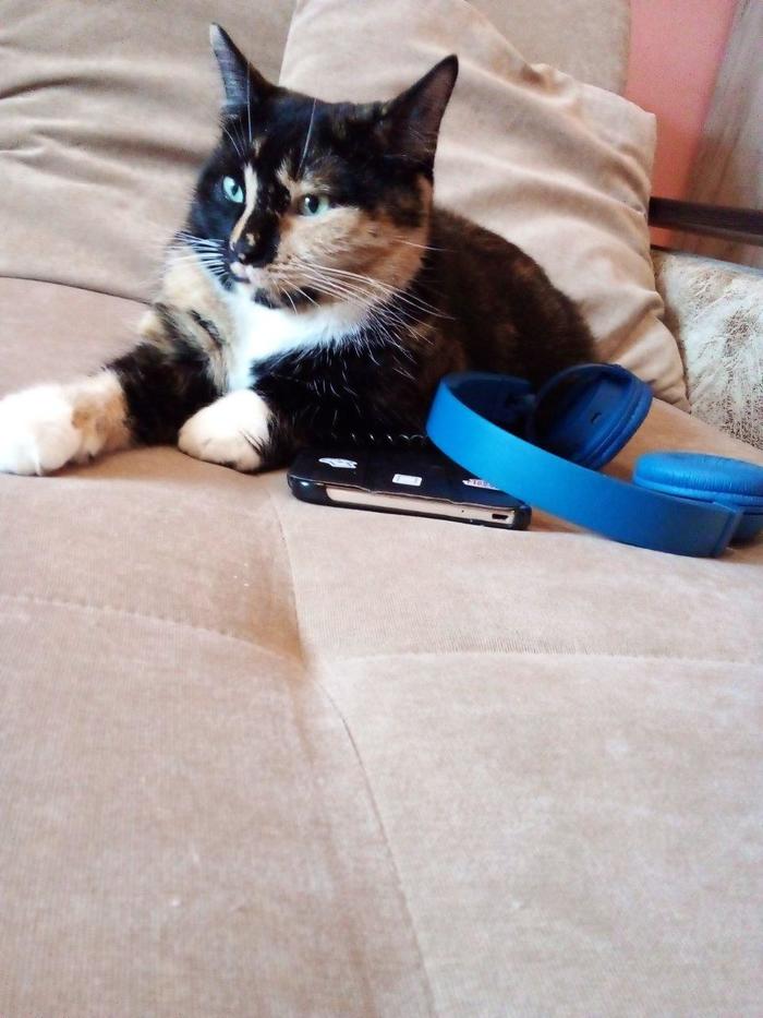 ����, � ������, ������� ��� ���