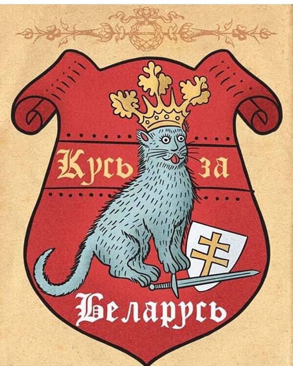 Котъ | Пикабу