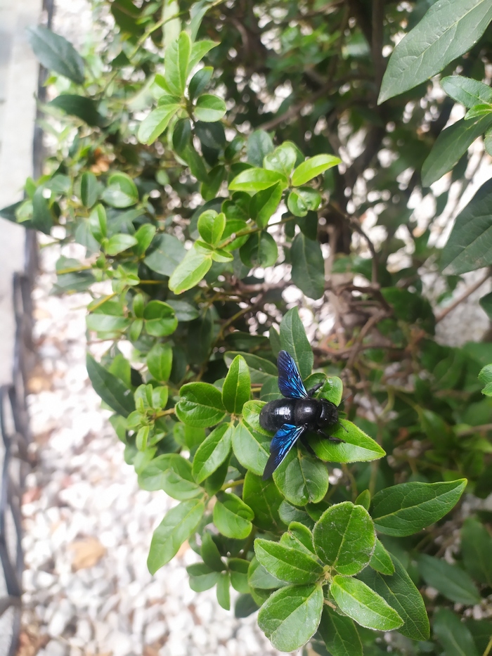 ����� ����� � �����