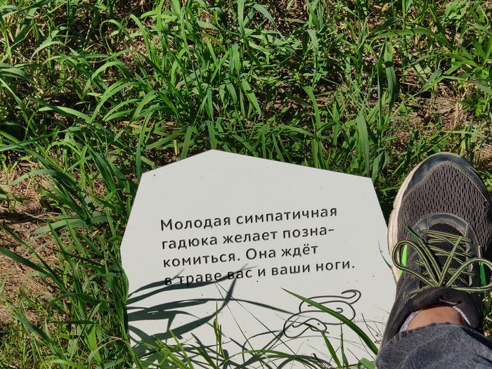 ����� ������ � ����� �����������