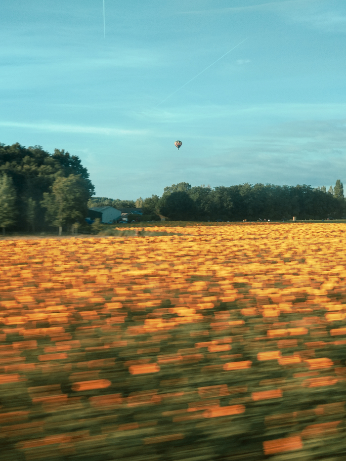 � ��������