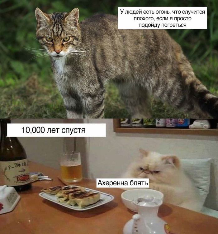   , , , , 