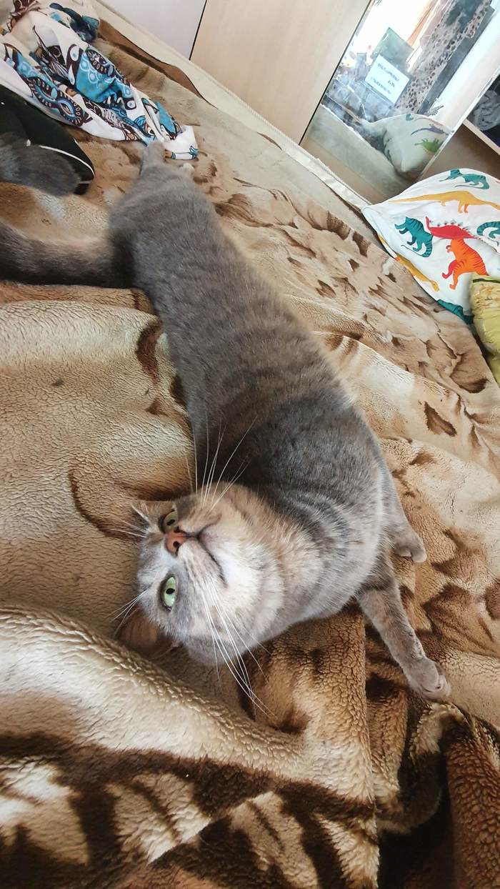 ����������