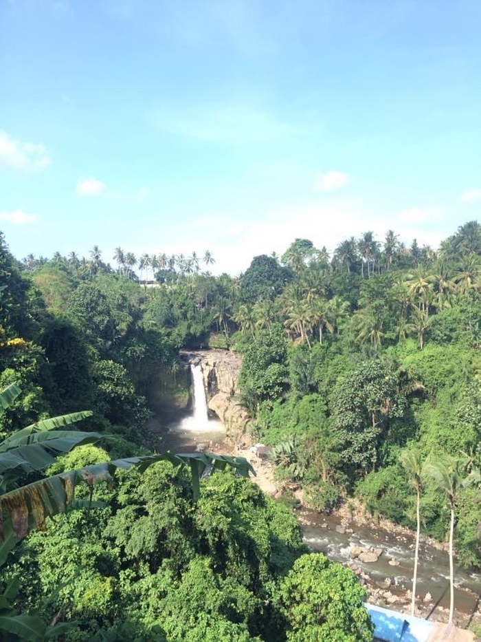 ��������� ������ ������� �� ����