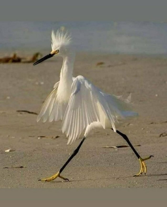 � � ��� ����� ��� ������� �������