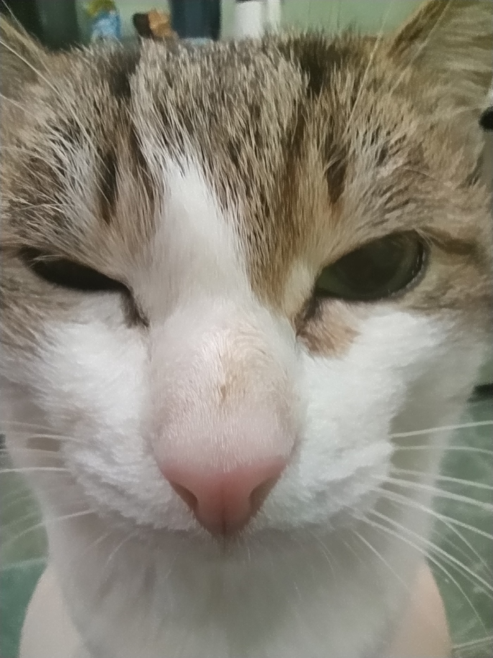 Я тут прибухнул