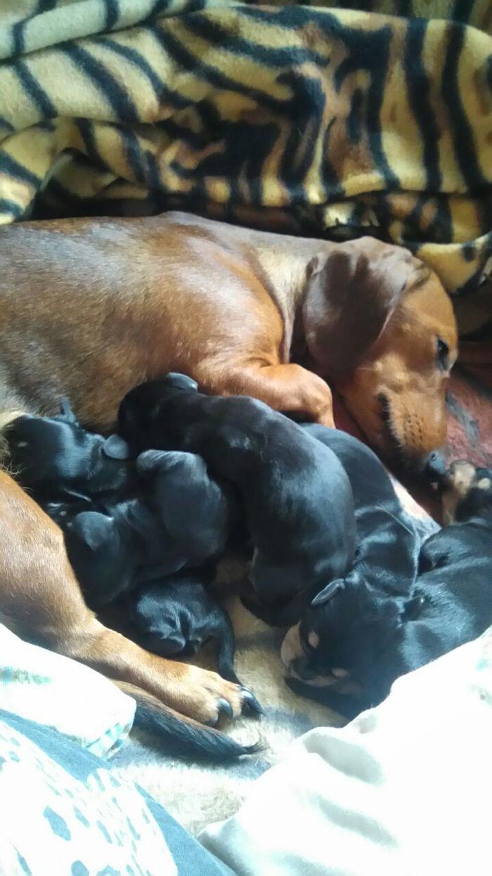 Вот такая она материнская доля