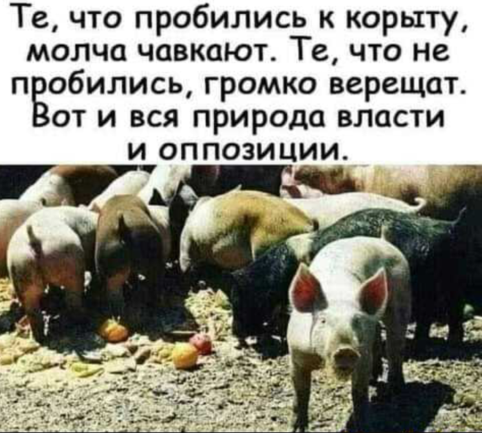 � -  ������