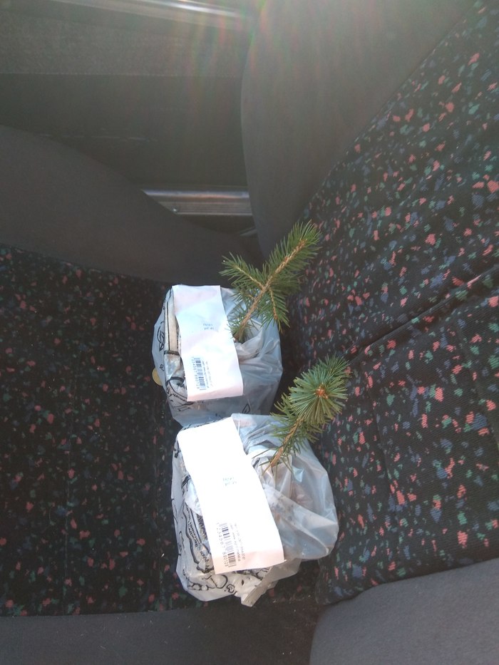 Голубая ель. Декор