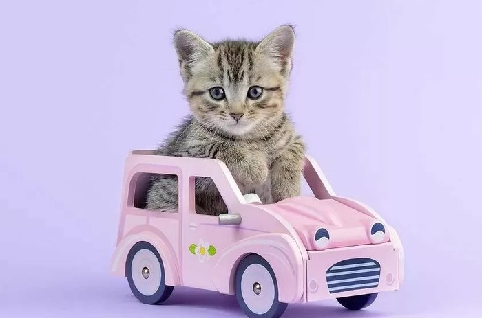 ������������ ����� � 16 ��� � �� ��� ���?