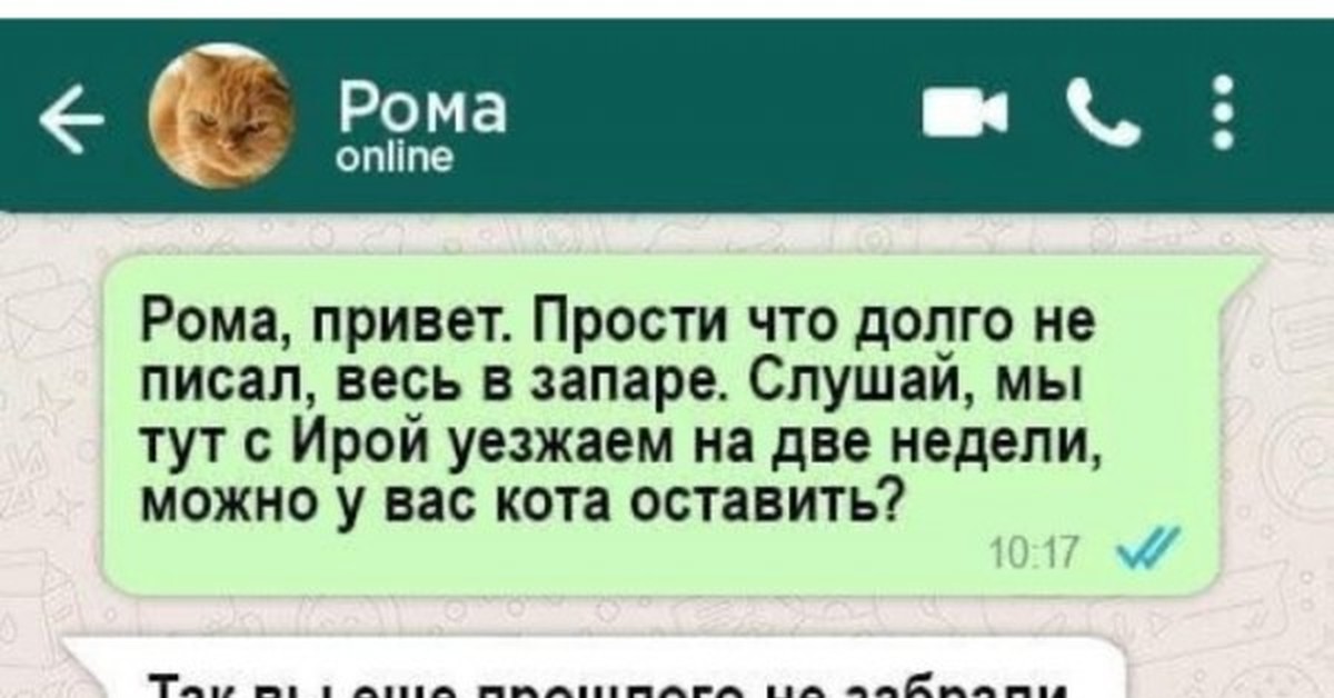 Сможете оставить