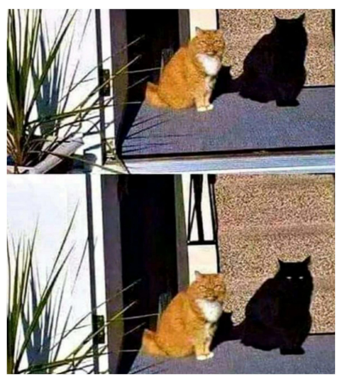 ����� ������� ���� ����� � ����, �� � ���� ��������� 2 ����