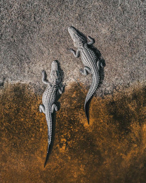 Картинные виды сверху. Почему бы и нет Фотография, Природа, Красота, Длиннопост