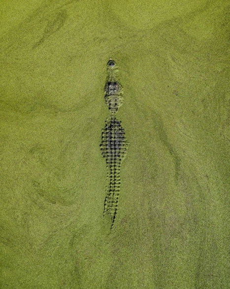 Картинные виды сверху. Почему бы и нет Фотография, Природа, Красота, Длиннопост