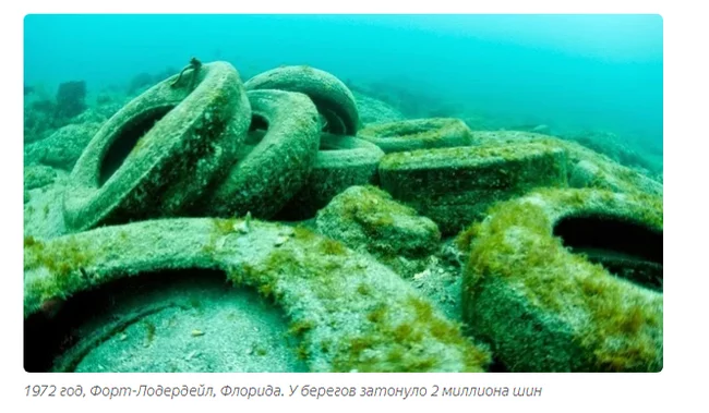 Искусственные рифы. Во Флориде затопили 2 млн шин, что с ними стало спустя 50 лет Море, Экология, Океан, США, Природа, Длиннопост, Риф Искусственные рифы. Во Флориде затопили 2 млн шин, что с ними стало спустя 50 лет Море, Экология, Океан, США, Природа, Длиннопост, Риф