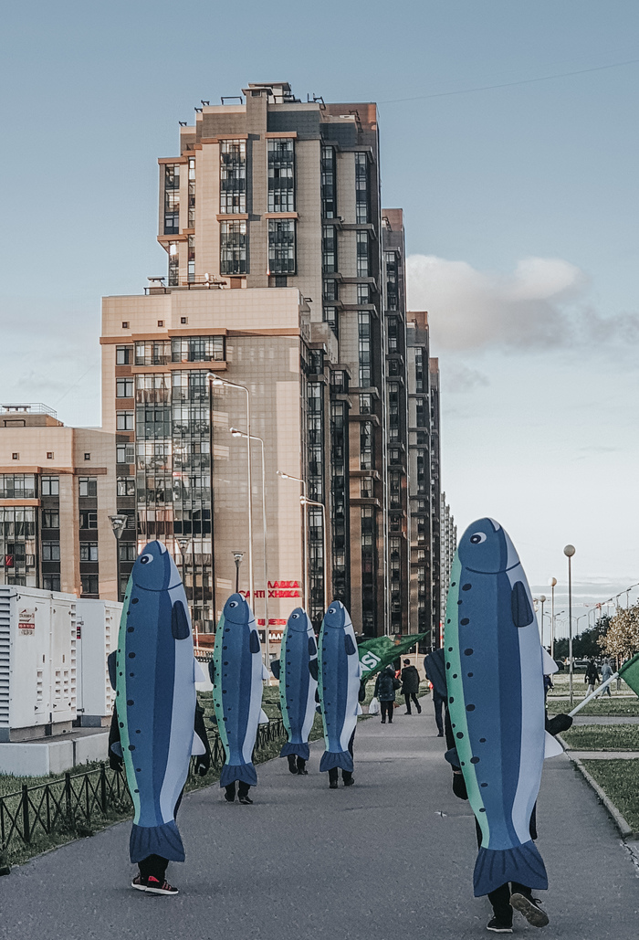 Это Питер, рыбка