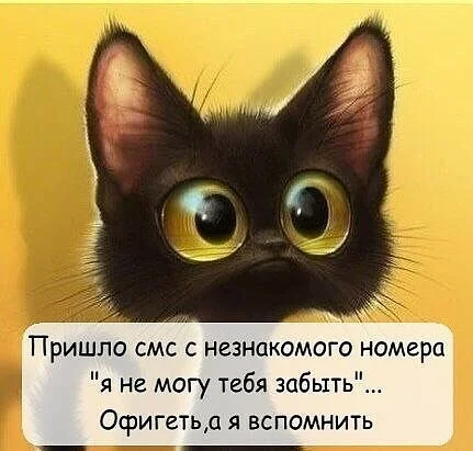  ۠?