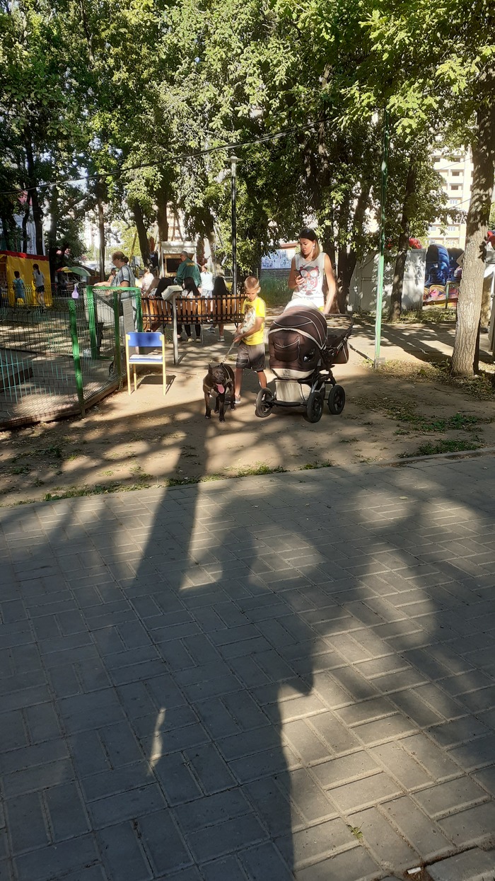 Собаки в намордниках люди в намордниках так и до нас доберутся. Смотреть фото Собаки в намордниках люди в намордниках так и до нас доберутся. Смотреть картинку Собаки в намордниках люди в намордниках так и до нас доберутся. Картинка про Собаки в намордниках люди в намордниках так и до нас доберутся. Фото Собаки в намордниках люди в намордниках так и до нас доберутся Собаки в намордниках люди в намордниках так и до нас доберутся. Смотреть фото Собаки в намордниках люди в намордниках так и до нас доберутся. Смотреть картинку Собаки в намордниках люди в намордниках так и до нас доберутся. Картинка про Собаки в намордниках люди в намордниках так и до нас доберутся. Фото Собаки в намордниках люди в намордниках так и до нас доберутся