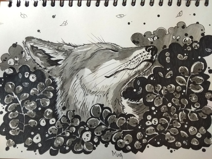 ���������� �����...