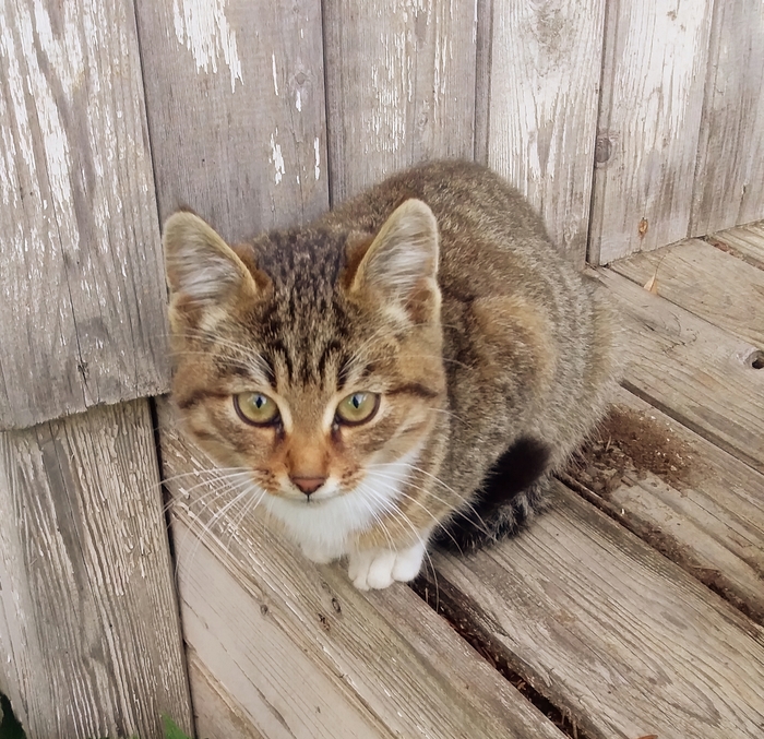 ������ � ����� �����