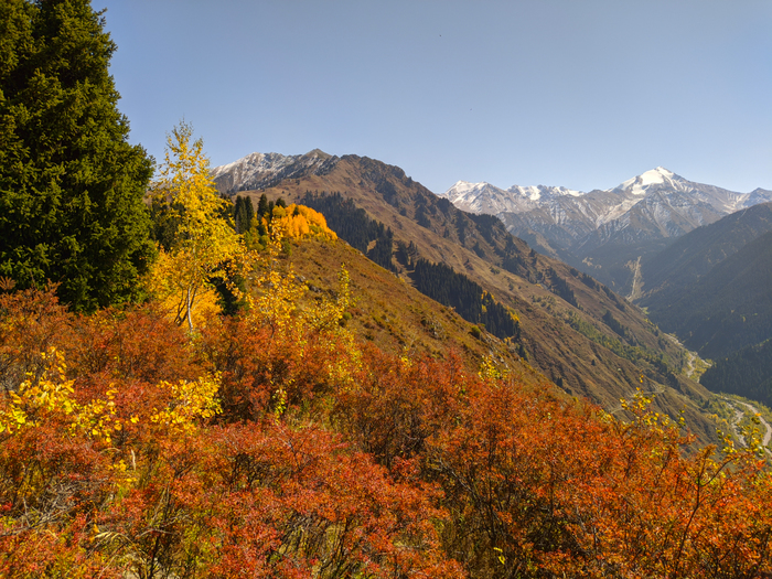 Осень в казахстане