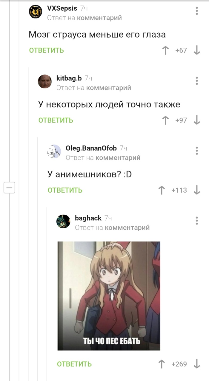 Про размер мозга