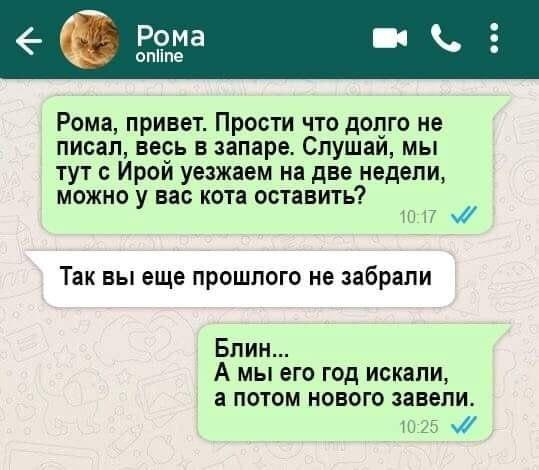 Забывчивость 80 LVL