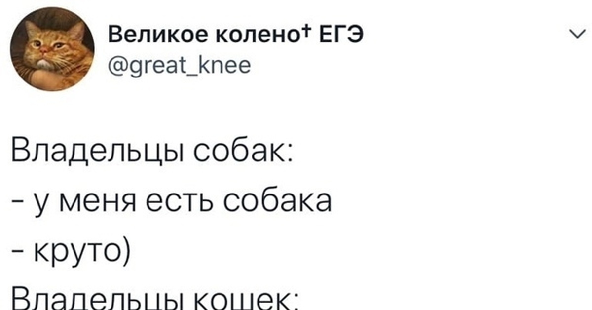 Владельцы кошек