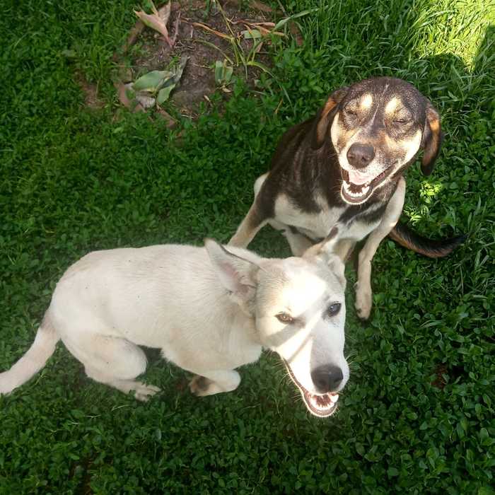 ��������? ����� ��������?