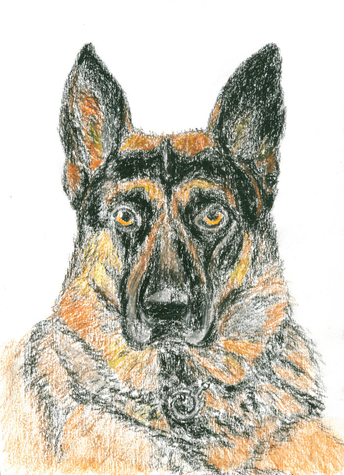 Собака. Рисунок масляной пастелью