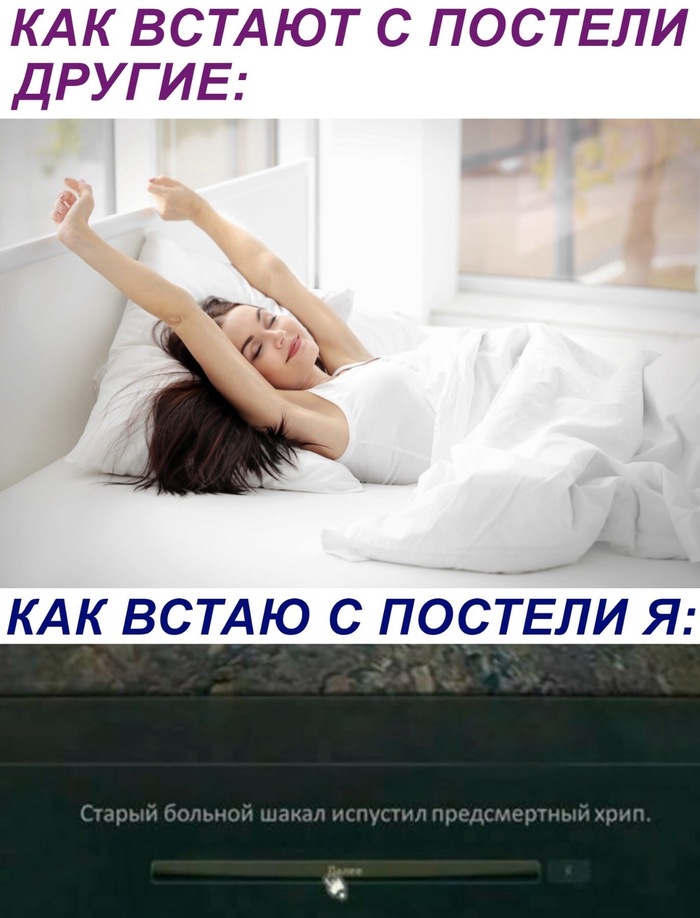 Доброе утро