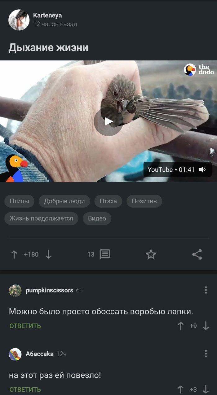 На этот раз ей повезло