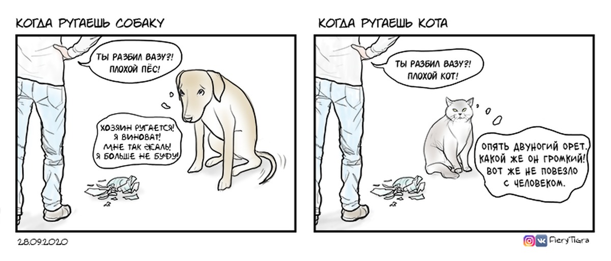 На рисунке изображены хозяин и его собака. Когда ругаешь собаку и кота. Кота ругают. Котенок ругается. Комикс ругают кота.