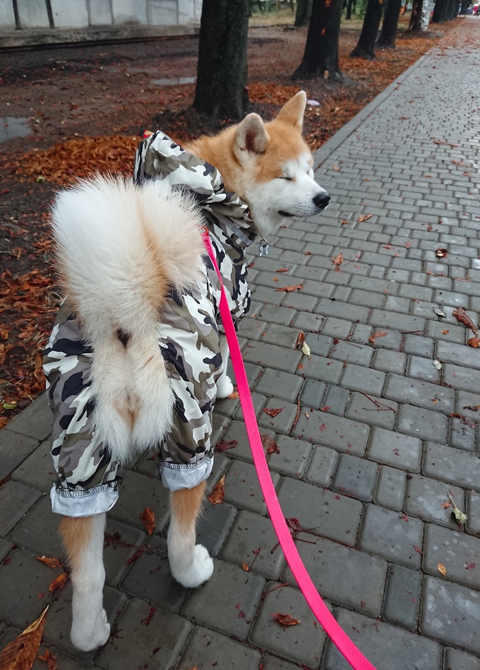 К дождю готовы!